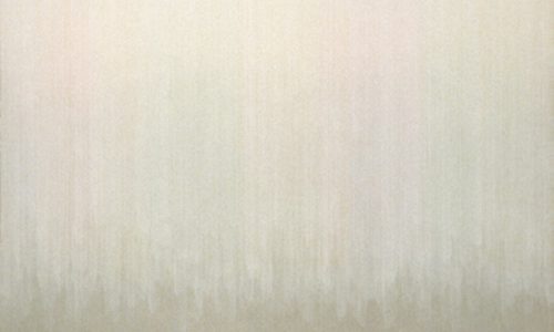 Shen Chen, Untitled No. 12002-08, Acrylic on Canvas, 135x117 cm, 2008.-jpg